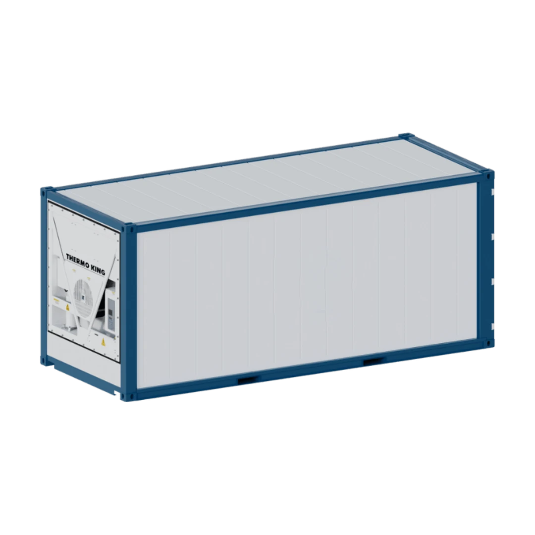 Conteneur Frigorifique 20 Pieds (Reefer) — Neuf & Occasion